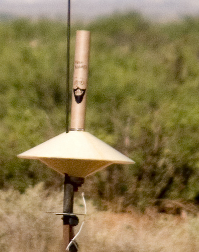 18" Delta with Full Beard on the pad